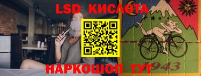 PSILOCYBIN Кингисепп