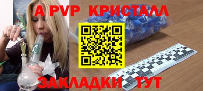 PSILOCYBIN Кингисепп