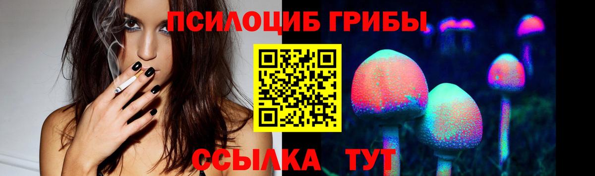 Глазов  где купить наркоту  Вход с VPN  Галлюциногенные грибы Psilocybe 